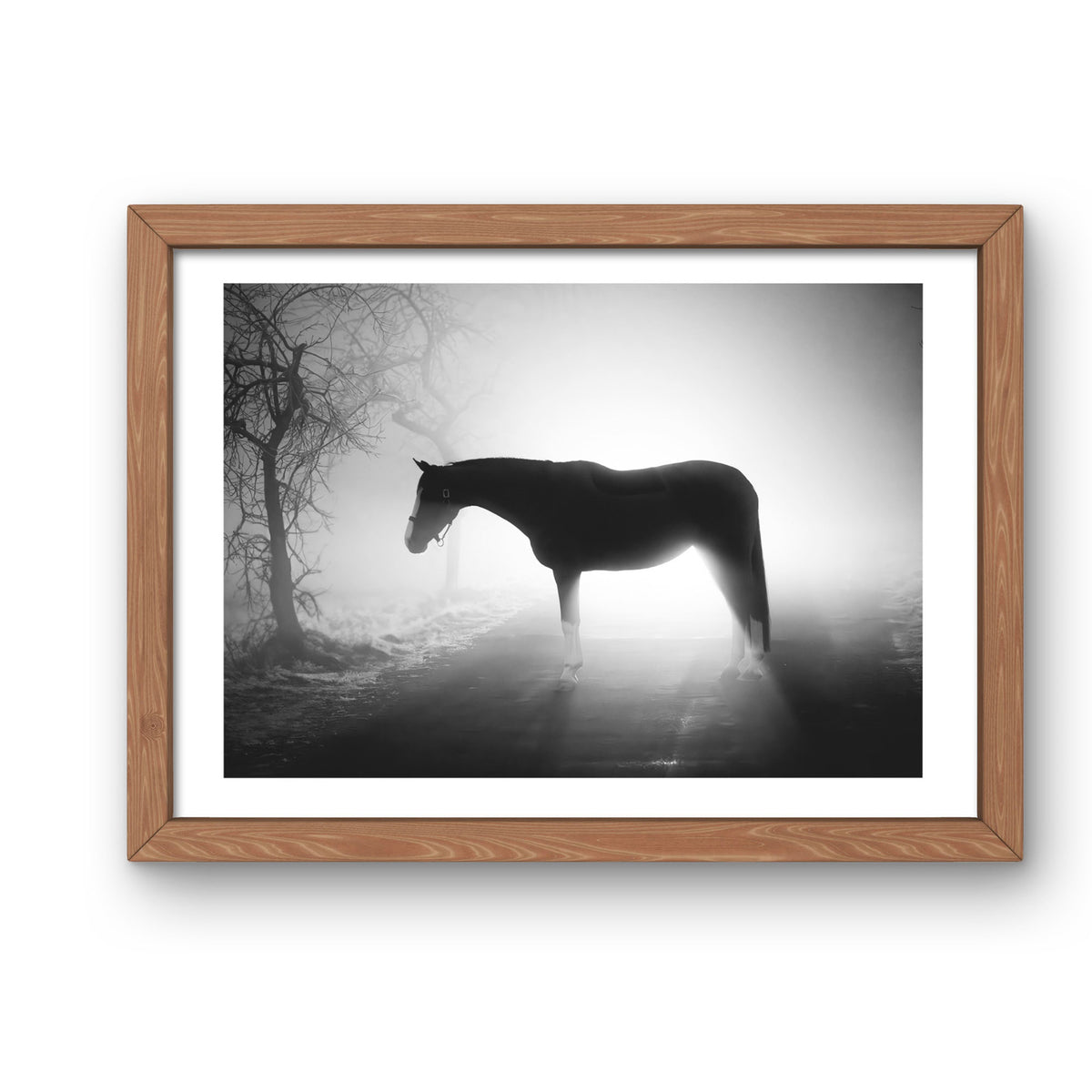 A Smile in the Dark