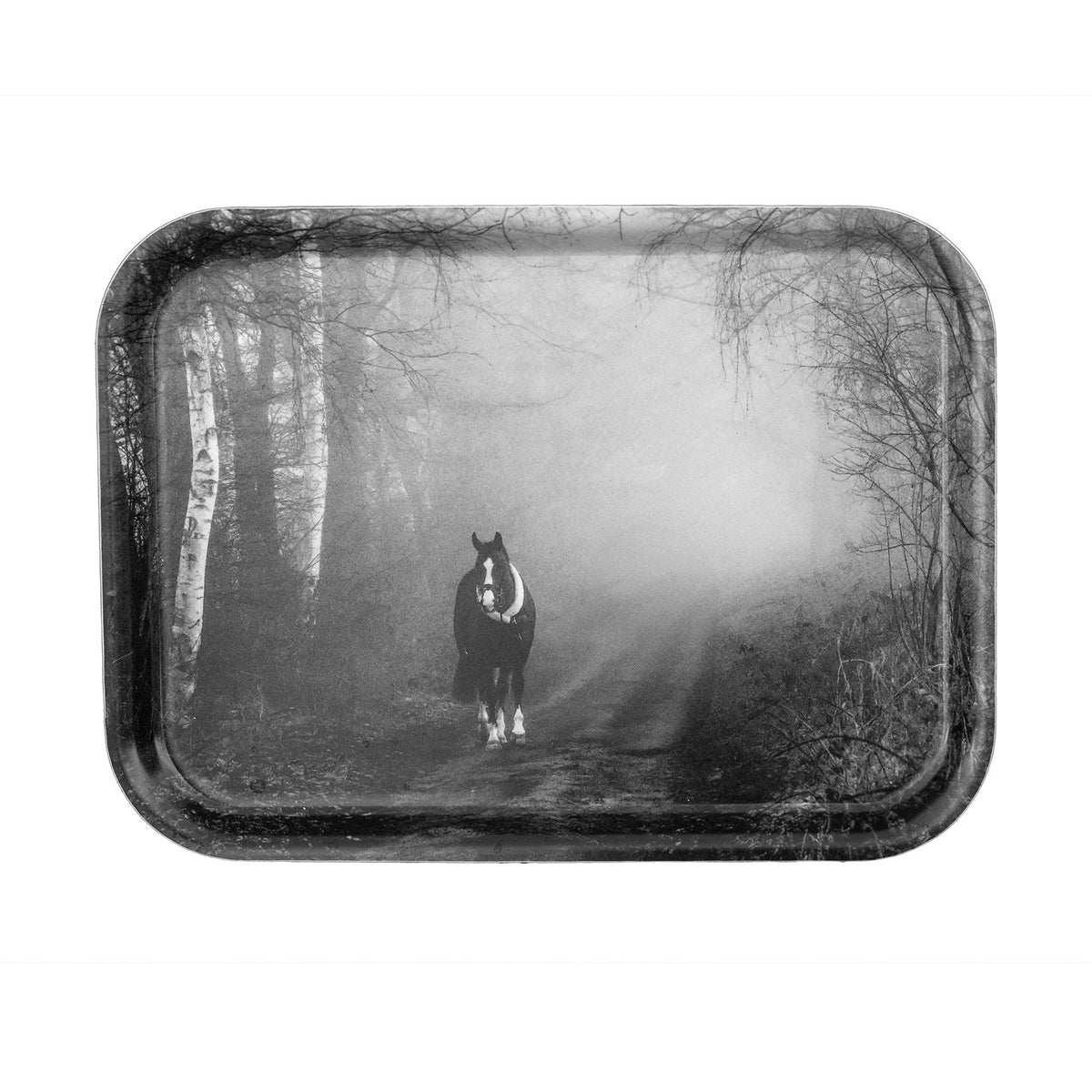 Into the Mist