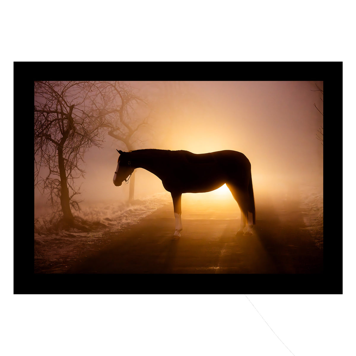  A Light in the Fog