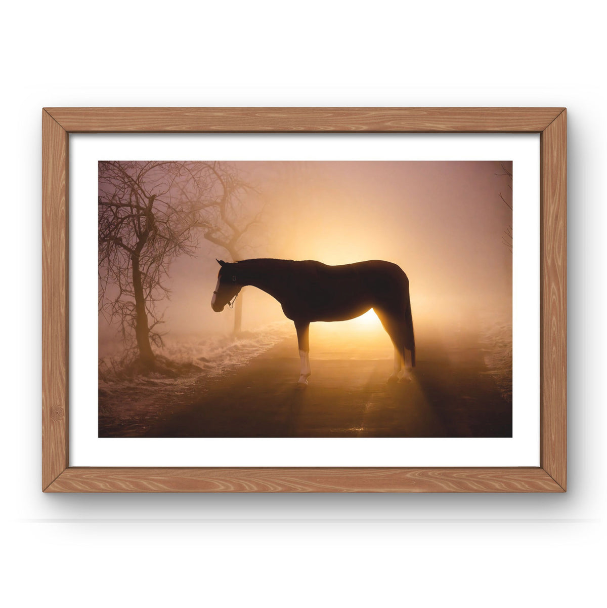  A Light in the Fog
