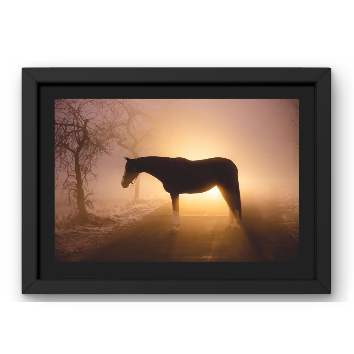  A Light in the Fog